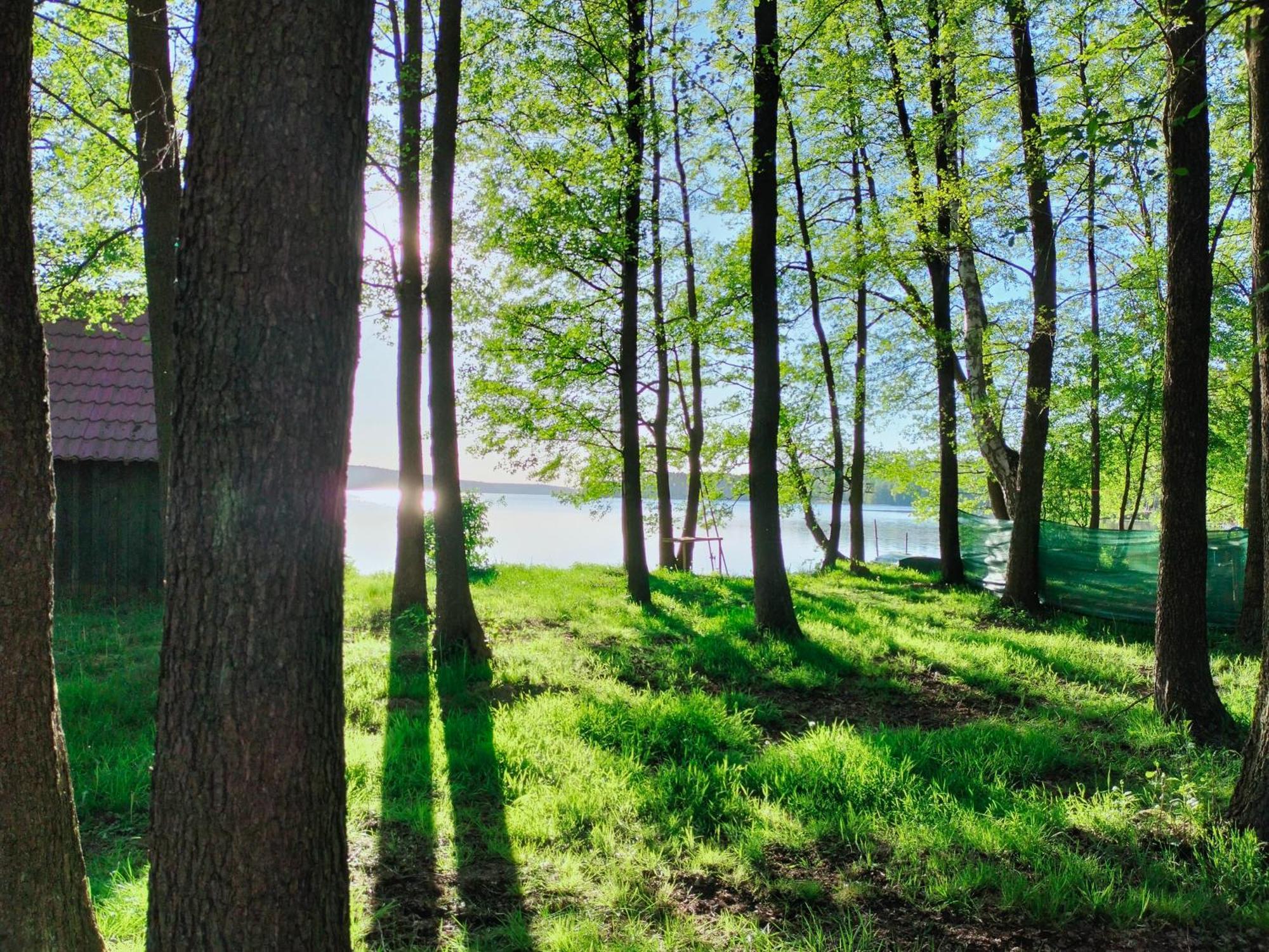 Domek Lesnika Czernica Villa Mecikal Buitenkant foto