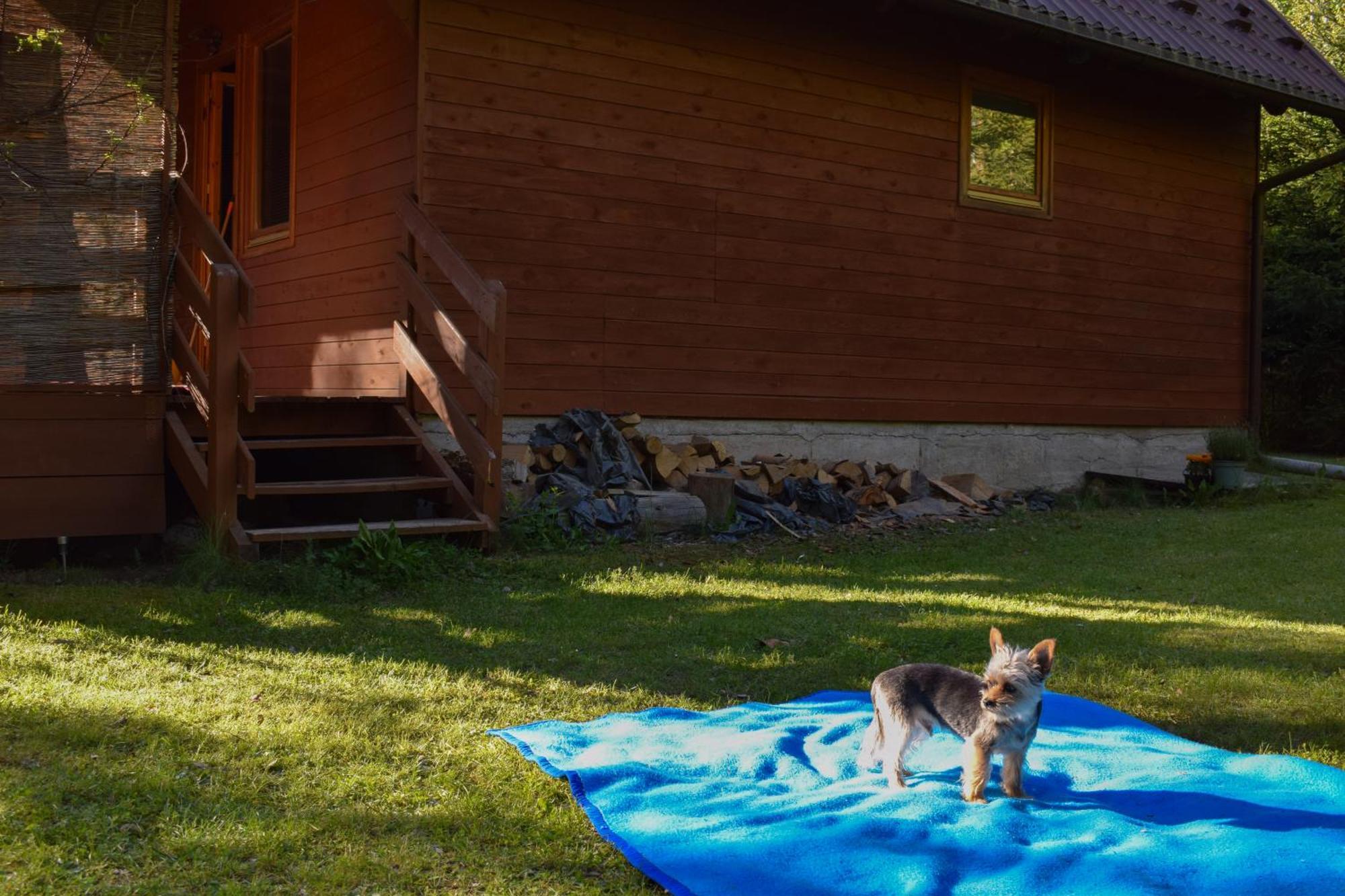 Domek Lesnika Czernica Villa Mecikal Buitenkant foto