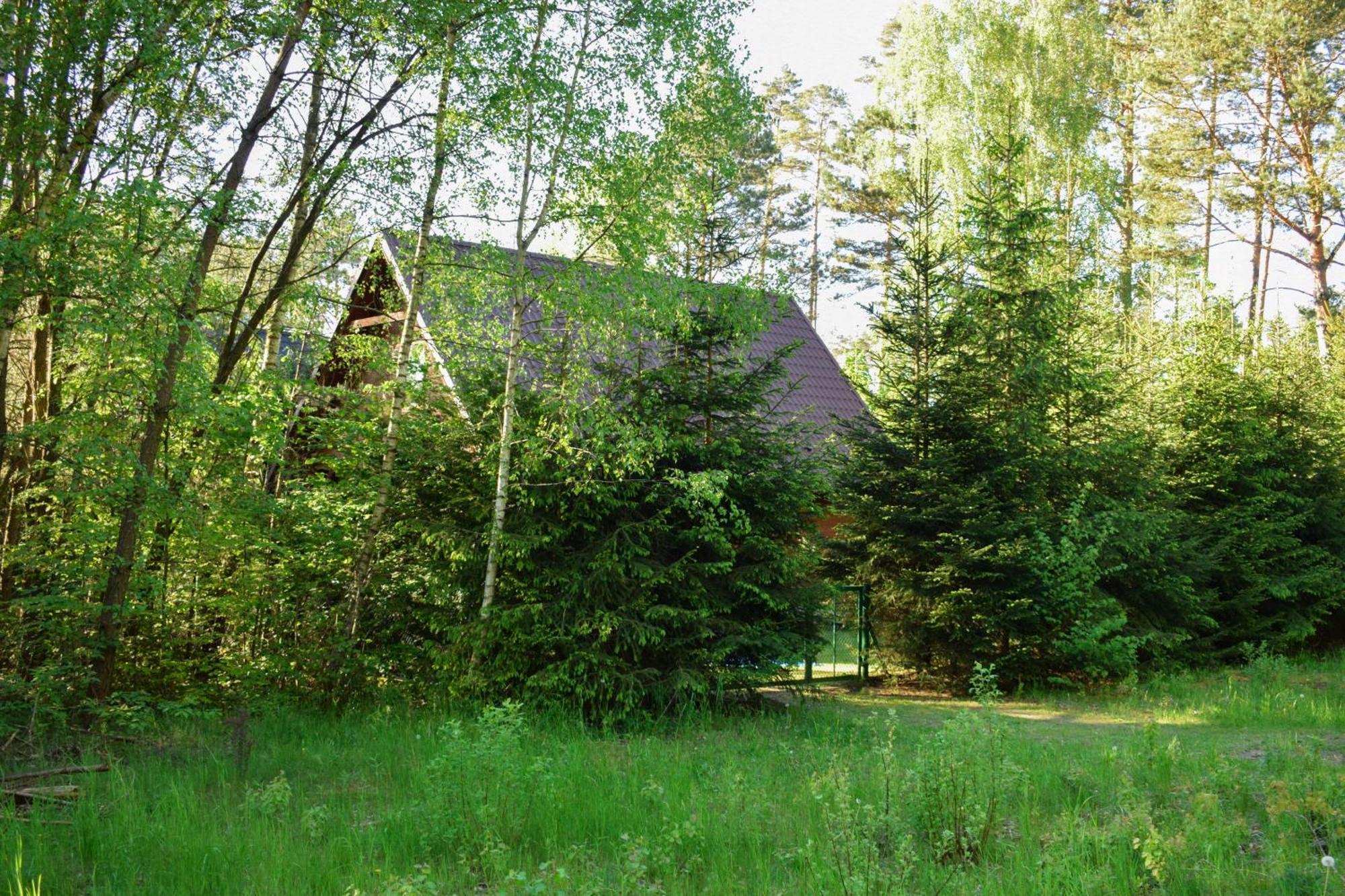 Domek Lesnika Czernica Villa Mecikal Buitenkant foto